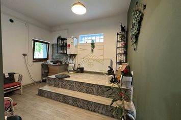 Vanzare - Proprietate cu Potential-Locuinta si Business anunturi imobiliare Bucuresti