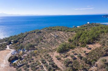 Teren construibil 7411 mp în Limenaria, Thassos anunturi imobiliare Grecia