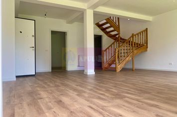 Duplex în vilă, 4 camere, renovat 2025, curte 250 mp, Mogoșoaia anunturi imobiliare Bucuresti