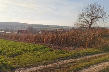 Teren de vanzare RUSI - Sibiu anunturi imobiliare Sibiu