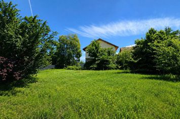 Terenuri intravilane Corbeanca | 3 loturi disponibile | 474–555 mp anunturi imobiliare Bucuresti