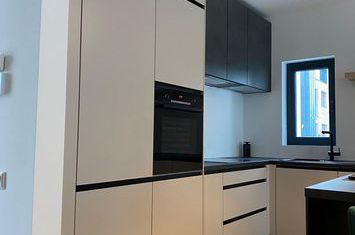 INCHIRIERE VILA SUPERBA ZONA IANCU NICOLAE ! anunturi imobiliare Bucuresti