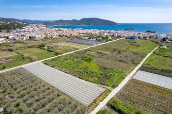 Teren construibil 4346 mp în Nea Peramos anunturi imobiliare Grecia