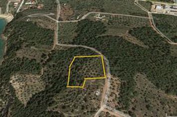 Teren agricol 5.031 mp în Astris, Thassos anunturi imobiliare Grecia