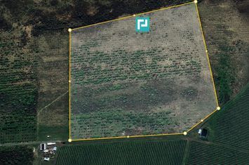 Teren Extravilan 4,5 hectare in Lipova anunturi imobiliare Arad