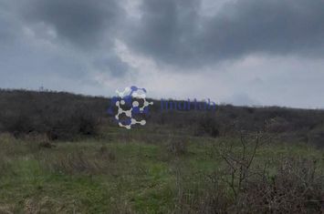 Teren 2 ha Sorogari – deschidere la drum, oportunitate investiție Iași anunturi imobiliare Iasi