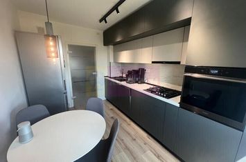 Ap 4 camere superb-Vedere la Parcul Morarilor-Mobilat modern-Centrală anunturi imobiliare Bucuresti
