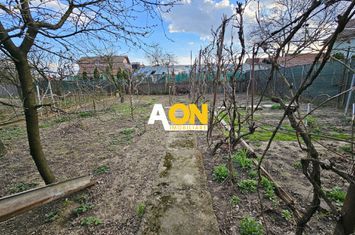 Casa 4 camere, 300 mp utili, 562 mp teren, zona Centru anunturi imobiliare Alba