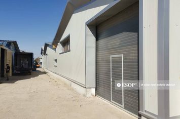 Spațiu industrial de vanzare POPESTI-LEORDENI - Bucuresti anunturi imobiliare Bucuresti