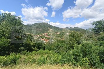 Casă - 3 camere de vanzare AMPOITA - Alba anunturi imobiliare Alba