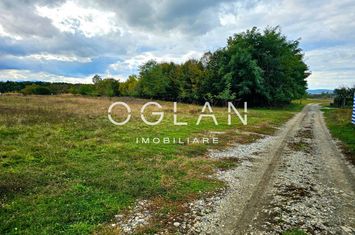 Teren de vanzare AVRIG - Sibiu anunturi imobiliare Sibiu
