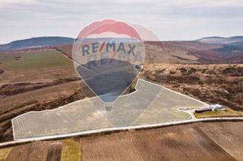 DOMENIU VITICOL DE 114 HA EXTRAVILAN DE VANZARE IN ARAD anunturi imobiliare Arad