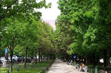 Vanzare apartament de 3 camere bd Unirii, bloc nou 2025 anunturi imobiliare Bucuresti