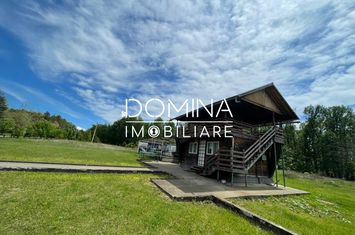 Teren de inchiriat TARGU CARBUNESTI - Gorj anunturi imobiliare Gorj