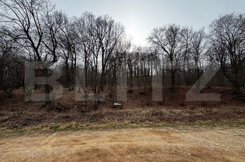 Teren de vanzare CETATE - Alba anunturi imobiliare Alba