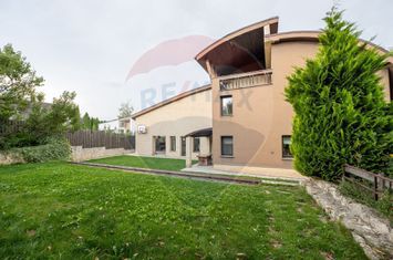 Vilă spectaculoasă de vânzare în Făget anunturi imobiliare Cluj