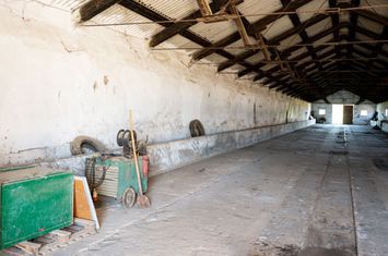 Spațiu depozitare 734mp și teren de 7.844mp Macea anunturi imobiliare Arad