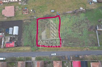 Teren de Vânzare în Dudeștii Noi – 892 mp, Ideal pentru Construcții anunturi imobiliare Timis