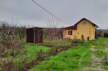 BARCANESTI -  casa +curte+teren 16k mp anunturi imobiliare Ialomita