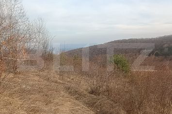 Teren de vanzare ALBA IULIA - Alba anunturi imobiliare Alba