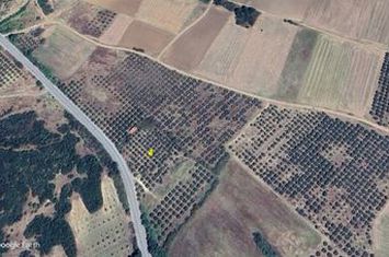 Teren agricol 3.000 mp în Choumniko, Serres anunturi imobiliare Grecia