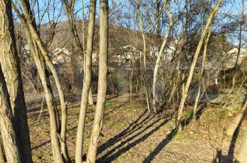 Teren de vanzare TARGOVISTE - Dambovita anunturi imobiliare Dambovita