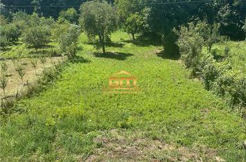 Vilă - 9 camere de vanzare BUJORENI - Valcea anunturi imobiliare Valcea