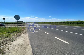 Teren extravilan direct la E85 de vânzare – Popești, județul Vrancea anunturi imobiliare Vrancea