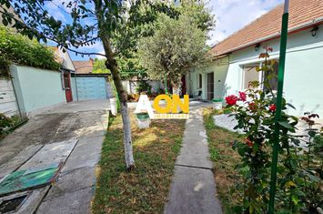 Casa 5 camere, 369 mp teren, zona Centru, pretabila pentru birouri anunturi imobiliare Alba