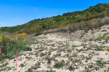 Corunca - 1100 mp cu PUZ - zona panoramica si linistita anunturi imobiliare Mures