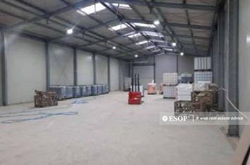 Spațiu industrial de inchiriat PLOIESTI - Prahova anunturi imobiliare Prahova