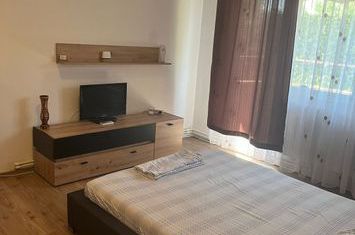 Apartament 2 camere de vanzare BRAZDA LUI NOVAC - Dolj anunturi imobiliare Dolj