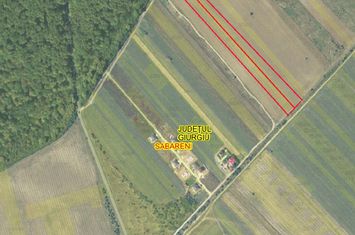 Foto 3 SABARENI, TEREN 10.000 MP! anunturi imobiliare Sabareni
