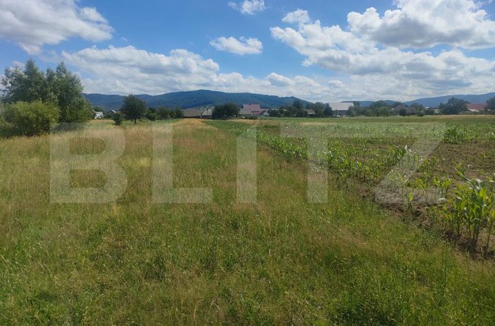 Teren de vanzare VICOVU DE SUS - Suceava anunturi imobiliare Suceava