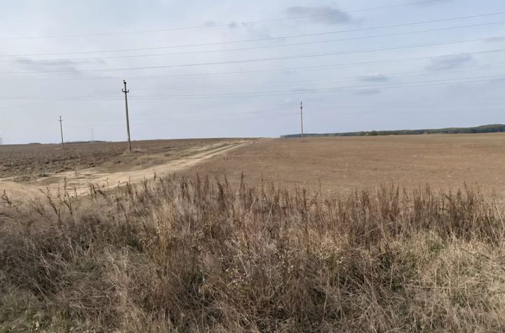 Teren de vanzare MALU MARE - Dolj anunturi imobiliare Dolj