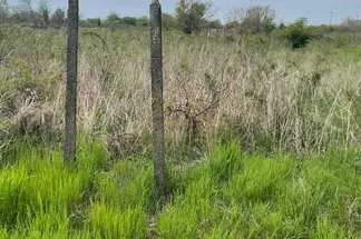 Teren Intravilan de vânzare Bucuresti - Popesti-Leordeni