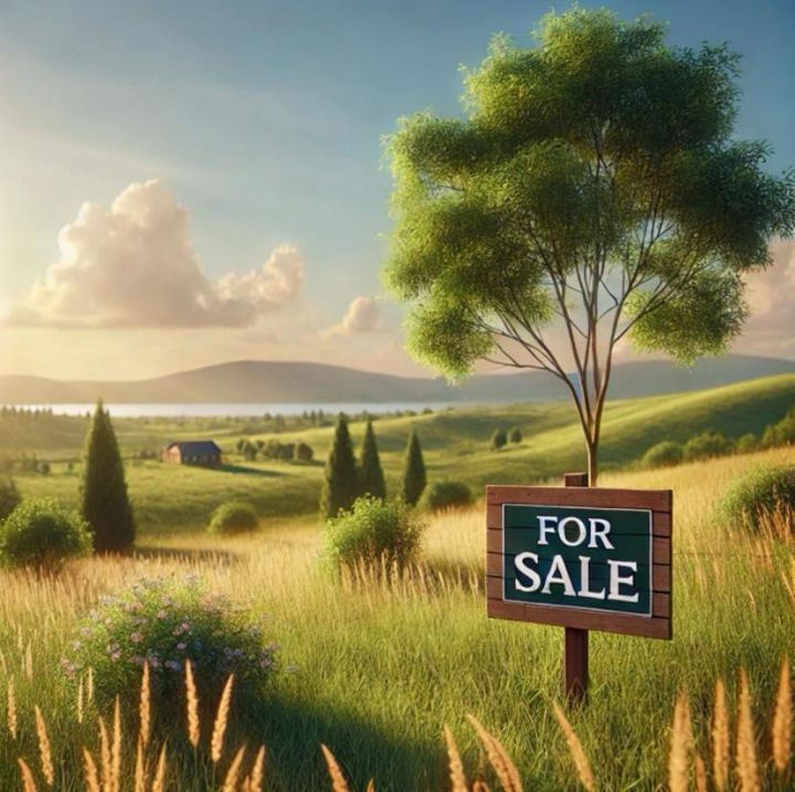 Teren de vanzare STUPINI - Brasov anunturi imobiliare Brasov