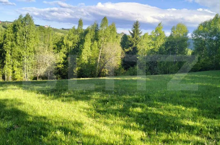Teren de vanzare GILAU - Cluj anunturi imobiliare Cluj