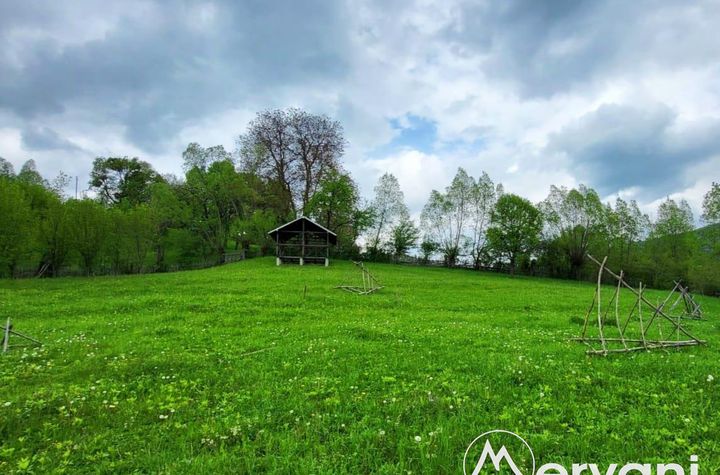 Teren Intravilan de vanzare VALEA DOFTANEI - Prahova anunturi imobiliare Prahova
