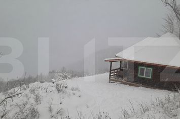 Casă - 3 camere de vanzare SUGAG - Alba anunturi imobiliare Alba