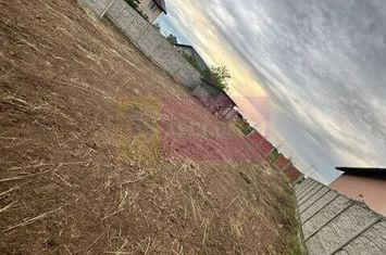 Teren Domnesti- strada Fortului. anunturi imobiliare Bucuresti