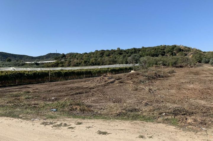 Teren 3.500 mp în Elaiochori, Kavala anunturi imobiliare Grecia