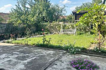 Apartament de Vanzare la Parterul unei case colective anunturi imobiliare Bihor