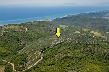 Teren 16.000 mp, Kariani (Kavala) anunturi imobiliare Grecia