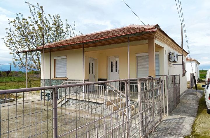 Casă individuală 75 mp, teren 1.700 mp în Provatas anunturi imobiliare Grecia