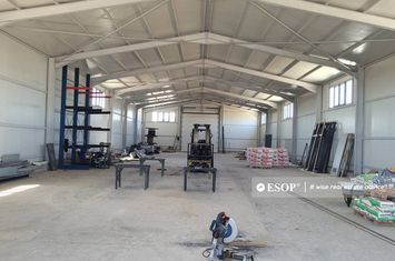 Spațiu industrial de vanzare MAGURELE - Bucuresti anunturi imobiliare Bucuresti