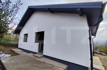 Casă - 3 camere de vanzare TOMESTI - Iasi anunturi imobiliare Iasi