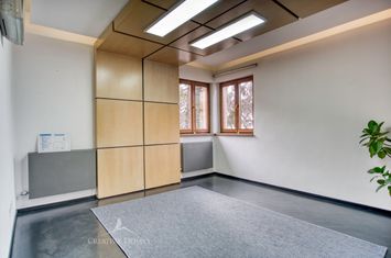 Spatiu de birouri in vila - Decebal anunturi imobiliare Bucuresti
