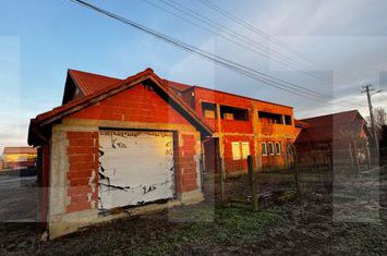 Vilă - 4 camere de vanzare PECIU NOU - Timis anunturi imobiliare Timis