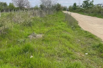 TEREN INTRAVILAN-500 MP-STR.VIILOR anunturi imobiliare Bucuresti